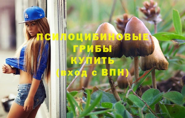 экстази Гусев